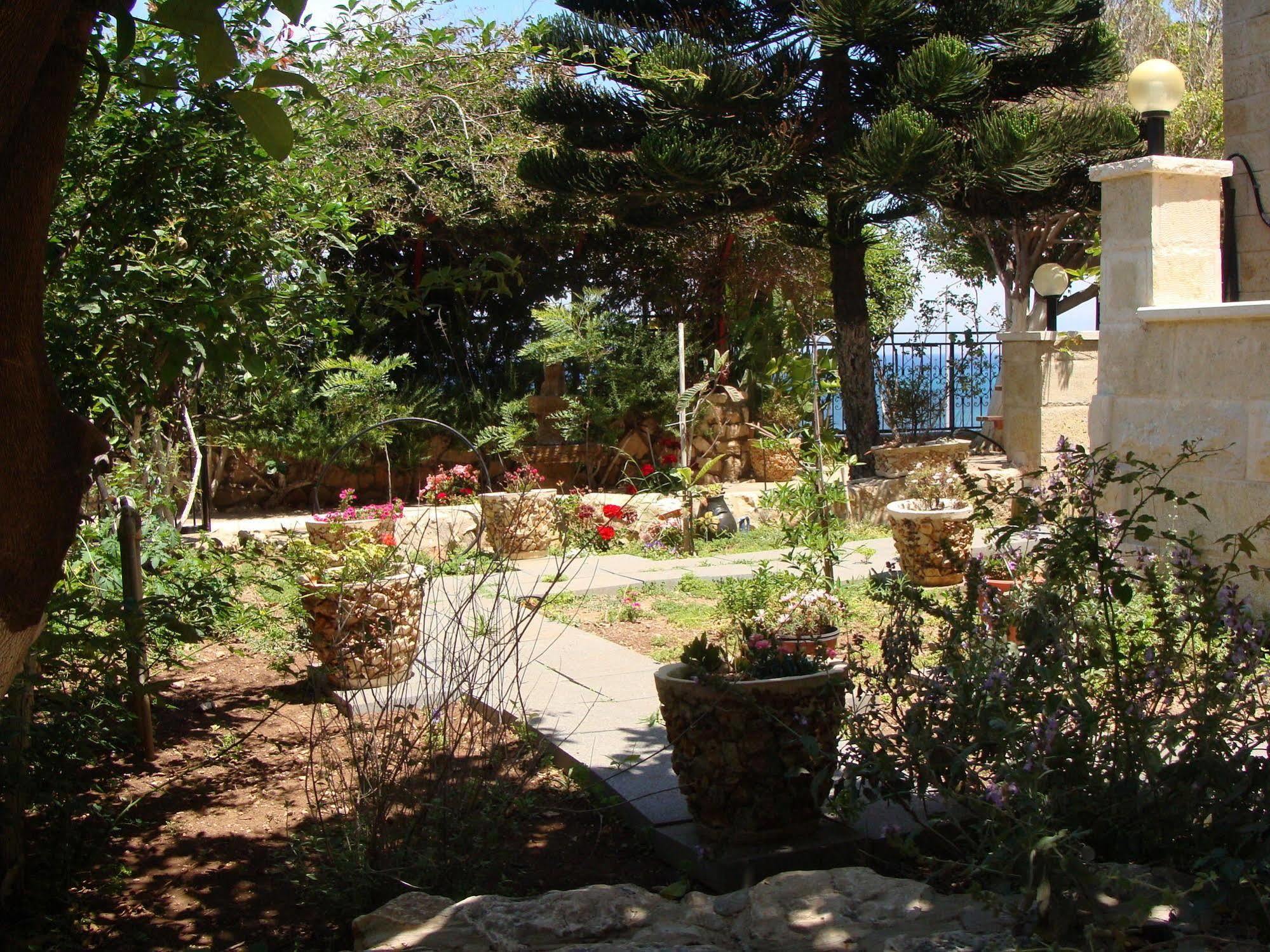 Tamer Guest House Хайфа Екстериор снимка